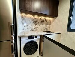 Tembusu Grand (D15), Condominium #587751081